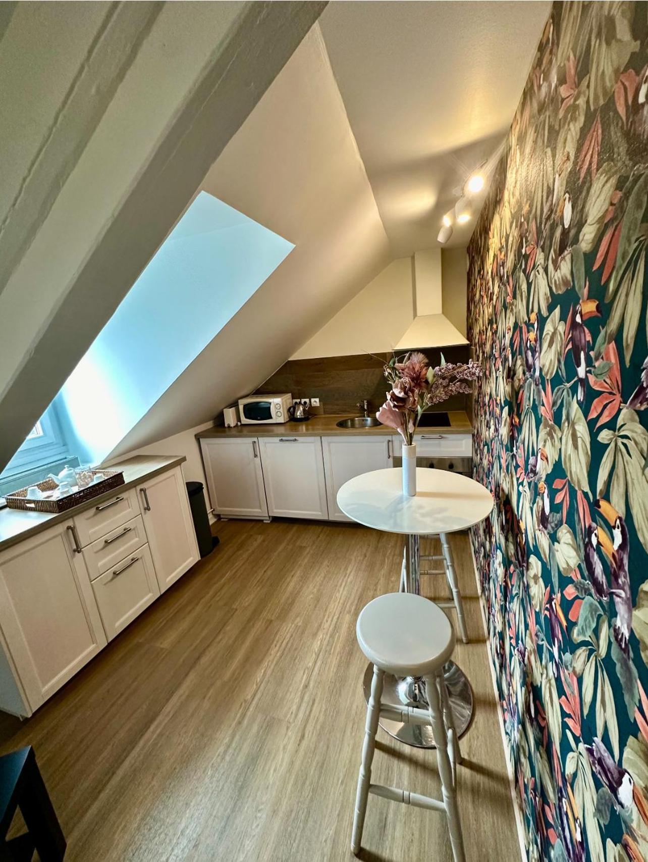 Le Duplex Ou L'appart D'agnes
